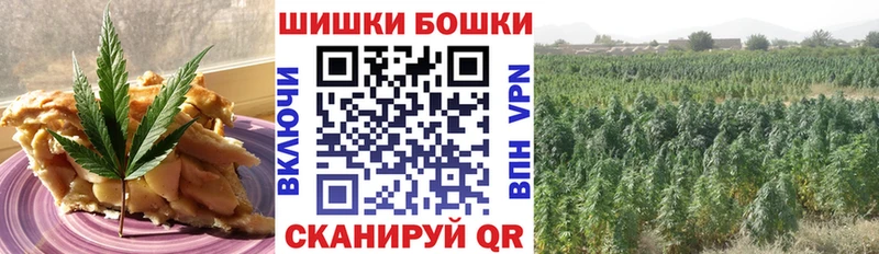 Купить закладки  Советский  Cannafood конопля 