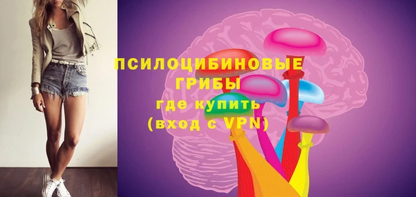 мяу мяу кристалл Дмитров