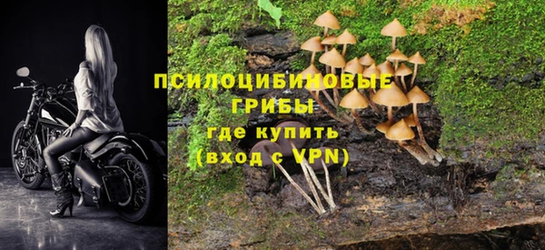мескалин Дмитриев