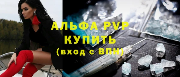 стафф Дмитровск