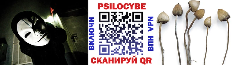 Псилоцибиновые грибы прущие грибы  Купить где  Советский 